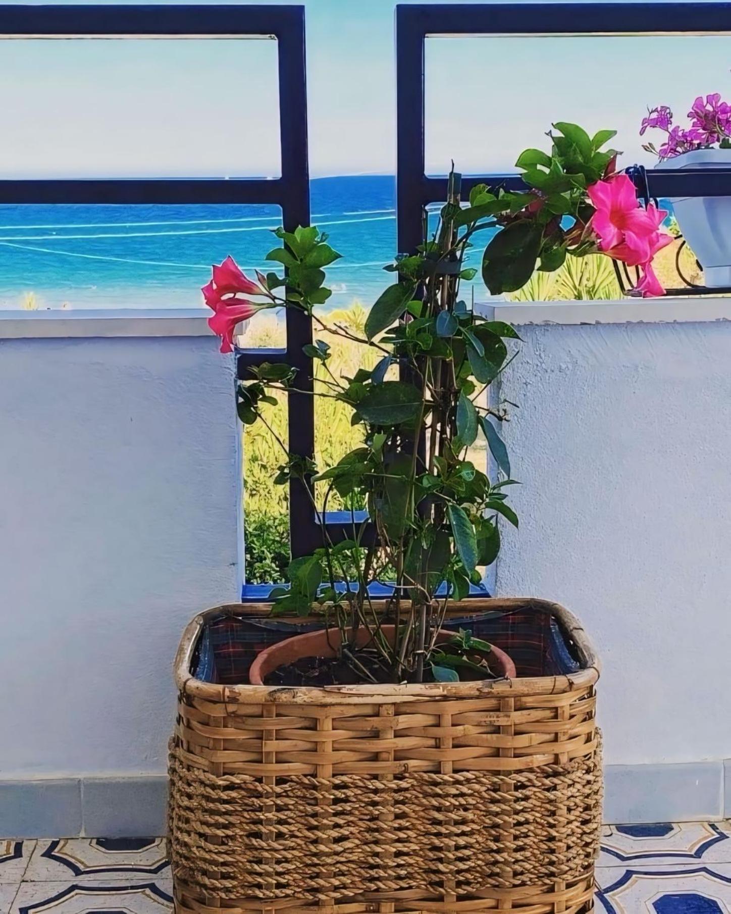 Il Mare Di Ciccio Villa Avola Dış mekan fotoğraf